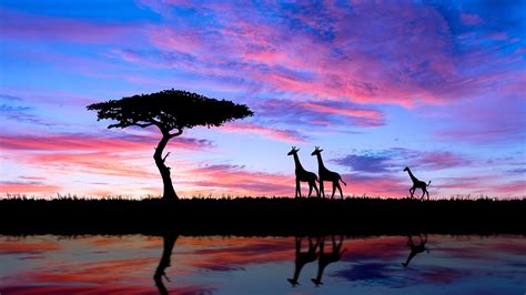 African Sunset 2 Novibet