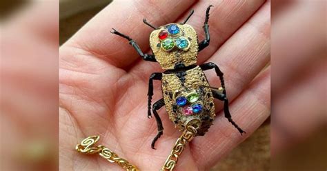 Beetle Jewels Brabet