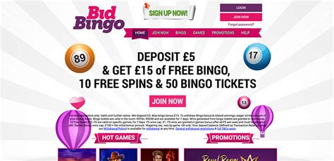 Bid Bingo Casino Haiti