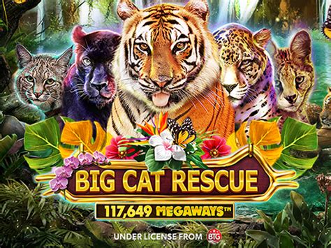 Big Cat Rescue Megaways Bet365