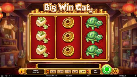 Big Win Cat Review 2024