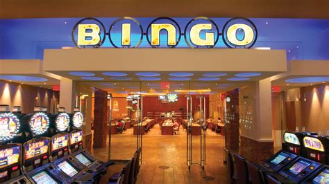 Bingo Halli Casino Dominican Republic