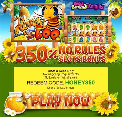 Bingo Knights Casino Bonus