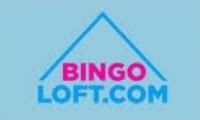 Bingo Loft Casino Belize