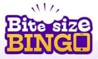 Bite Size Bingo Casino App
