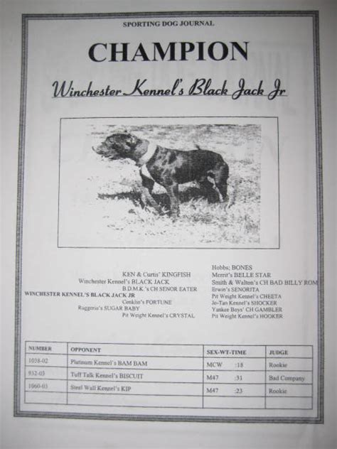 Blackjack Jr Pedigree