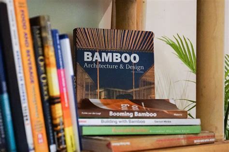 Book Of Bamboo Bet365