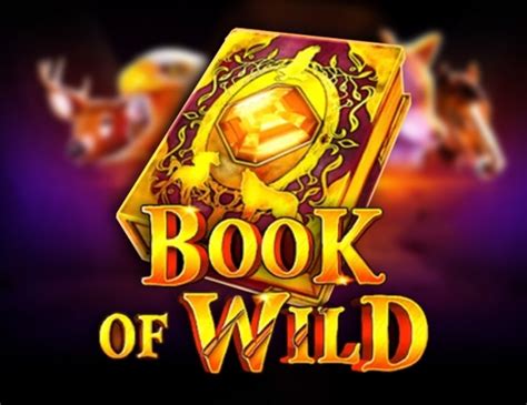 Book Of Wild Review 2024