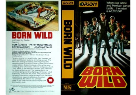 Born Wild Betsul