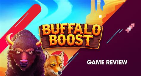 Buffalo Boost Review 2024