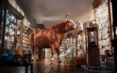 Bull In A China Shop Betsul