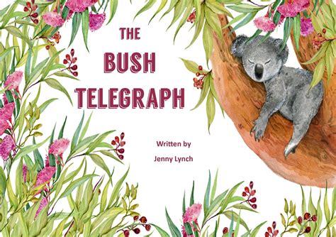 Bush Telegraph Betano