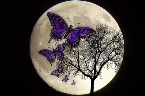 Butterfly Moon Sportingbet