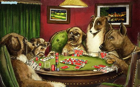 Cachorro Polidez Poker