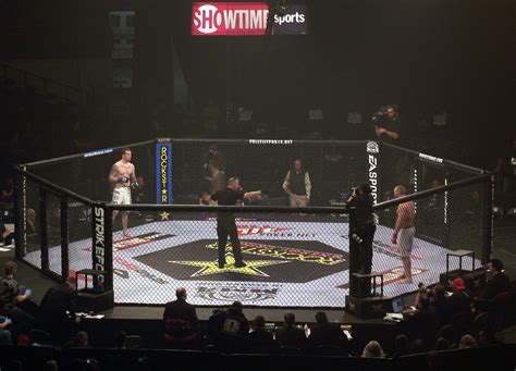 Cage Fight Bwin