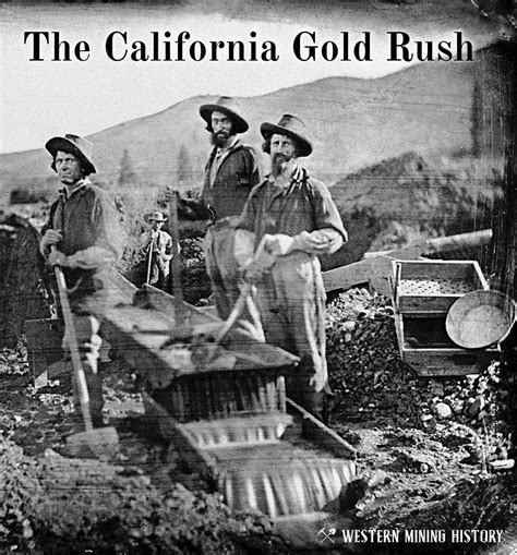 California Gold Rush Bodog