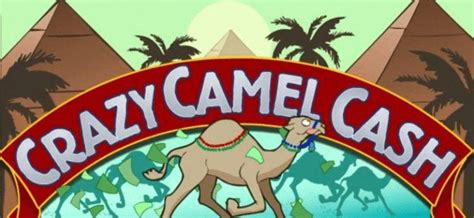 Cash Camel Bodog