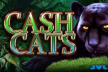 Cash Cats 1xbet
