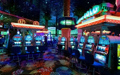 Casino Amenidades