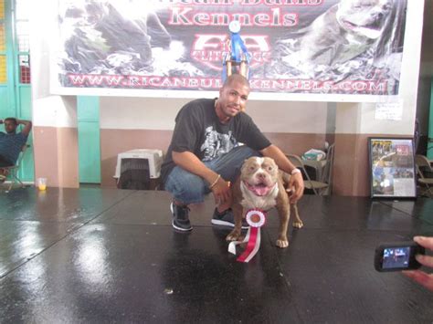 Casino Pit Bull Kennel