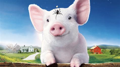 Charlotte S Web 1xbet