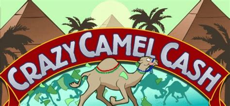 Crazy Camel Cash Bodog