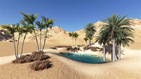 Desert Oasis Bodog
