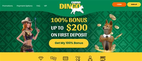 Dingo Casino Apostas