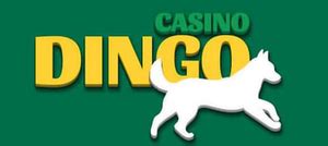 Dingo Casino Chile