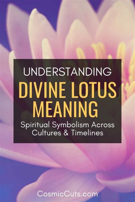 Divine Lotus Betano