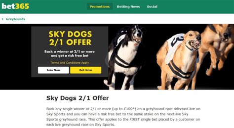 Dogs Street Bet365