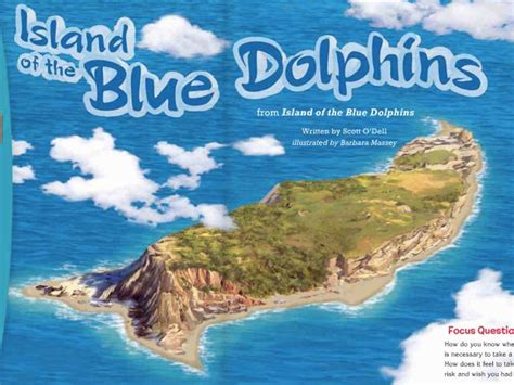 Dolphin S Island Brabet