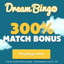 Dream Bingo Casino App