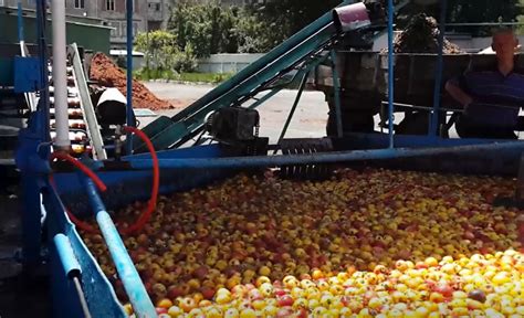 Engracado Maquinas De Fenda De Fruto