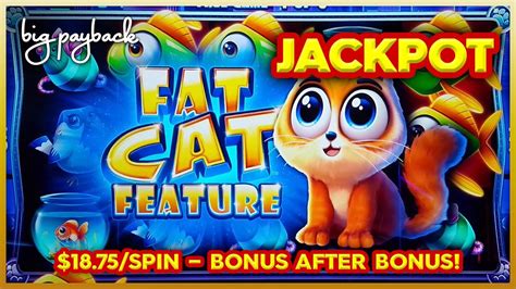 Fat Cat Casino Missoula