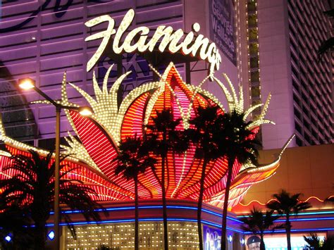 Flamingo Casino Entretenimento