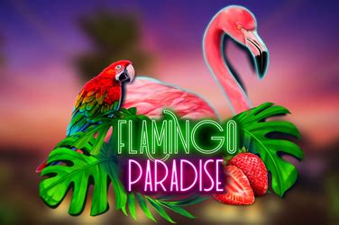 Flamingo Paradise 1xbet
