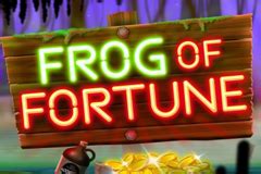 Frog Of Fortune Bodog