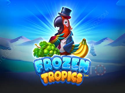 Frozen Tropics Review 2024