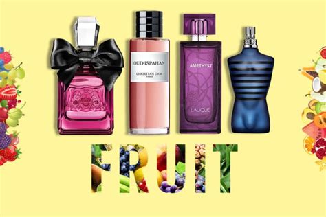 Fruity Taste Review 2024