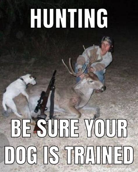 Funny Hunting Sportingbet