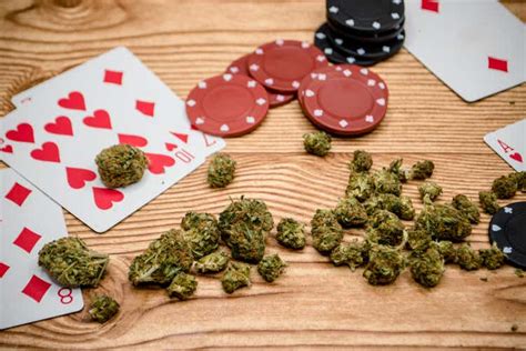 Ganja Poker Ru Login