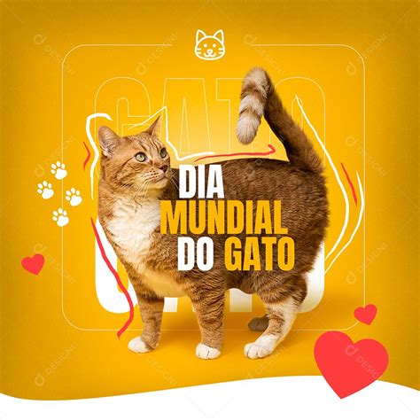 Gato 2024 1 Dia 2 Slot