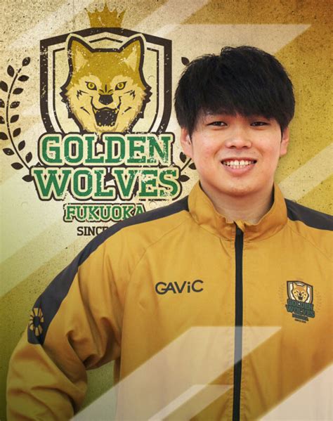 Golden Wolves 1xbet
