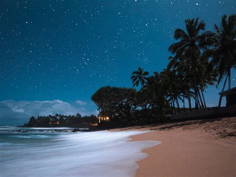 Hawaiian Night Bodog