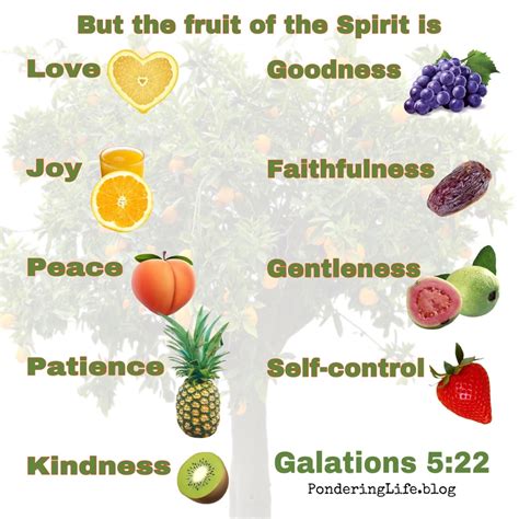 Holy Fruits Parimatch
