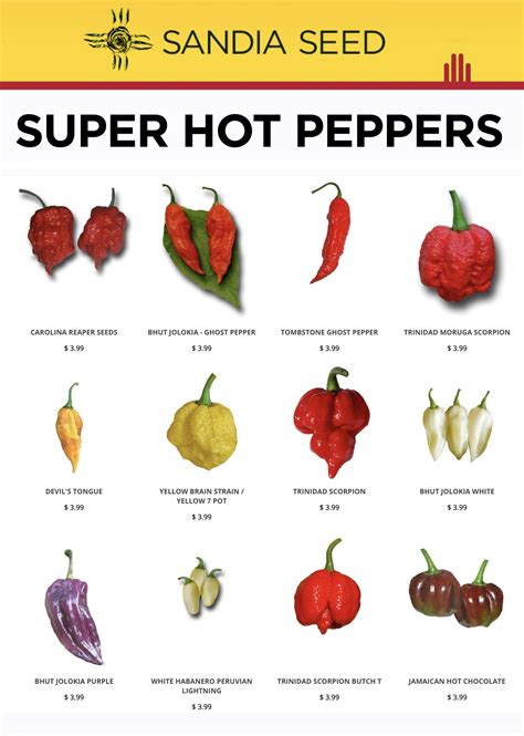 Hot Pepper Review 2024