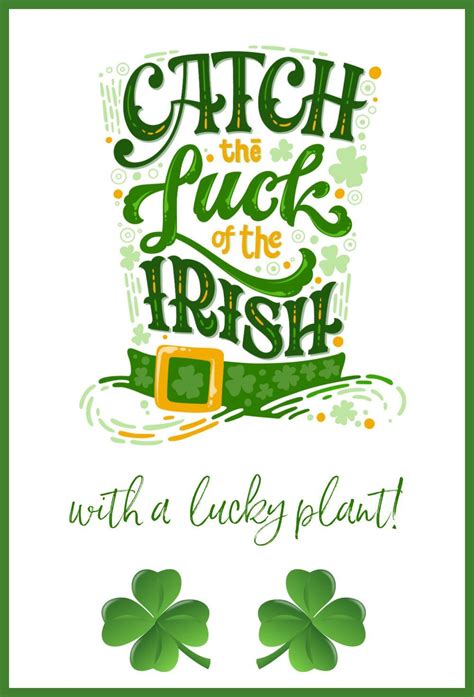 Irish Luck Brabet