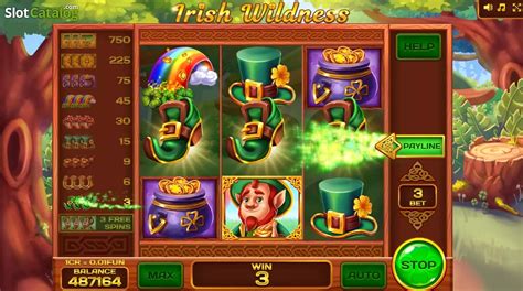 Irish Wildness Review 2024