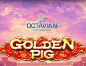 Jogar Golden Pig Good News No Modo Demo